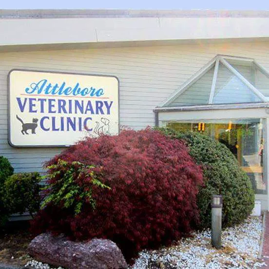 Attleboro Veterinary Clinic Picture 9