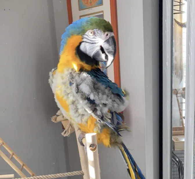 Birds Nest Picture 7