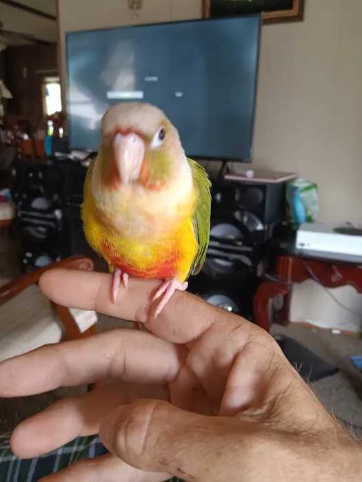 Birds Nest Picture 8