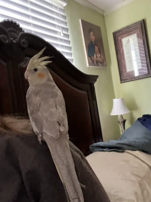 Birds Nest Picture 6