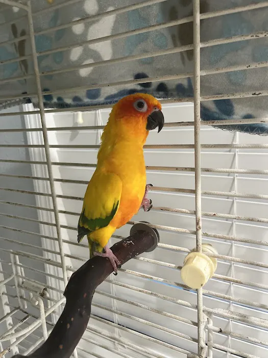 Birds Nest Picture 3