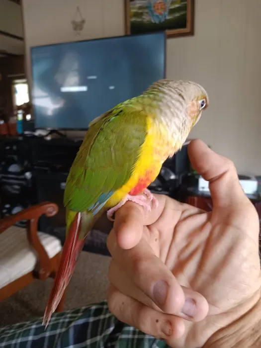 Birds Nest Picture 5