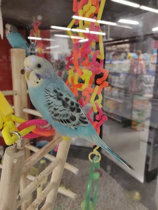Petco Picture 8