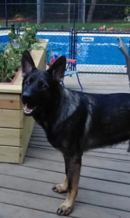 Dighton Veterinary Hospital Picture 1