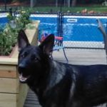 Dighton Veterinary Hospital