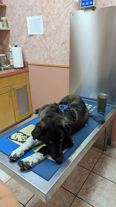 Dighton Veterinary Hospital Picture 7