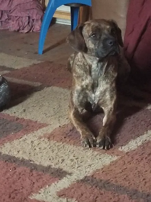 Dighton Veterinary Hospital Picture 5