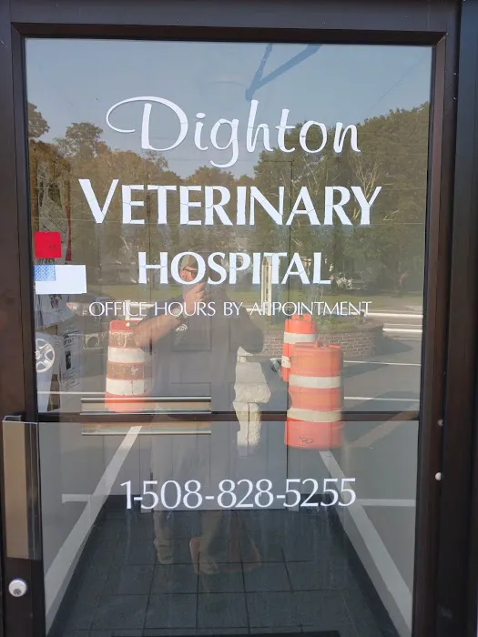 Dighton Veterinary Hospital Picture 8