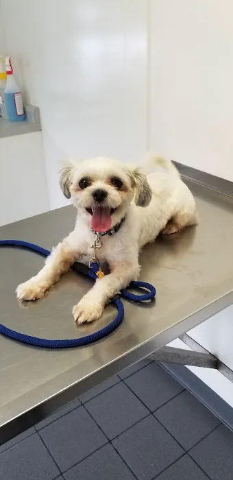 Dighton Veterinary Hospital Picture 2