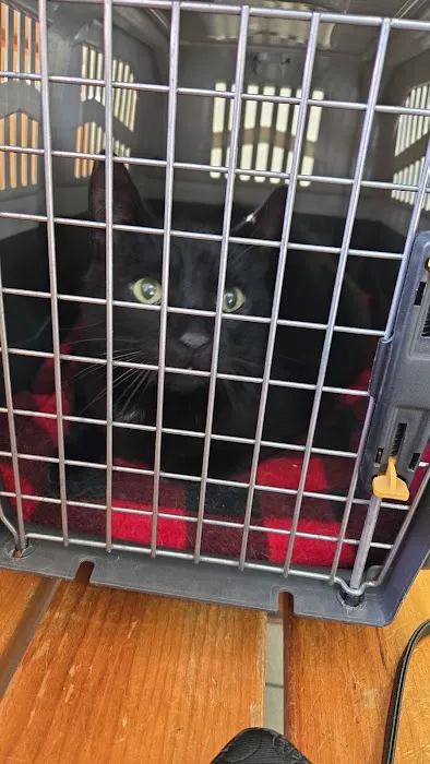 Dighton Veterinary Hospital Picture 6