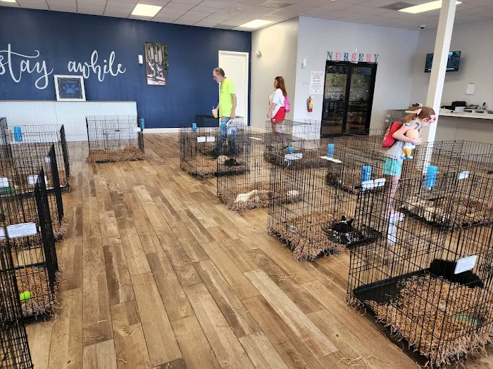 All About Puppies Picture 5