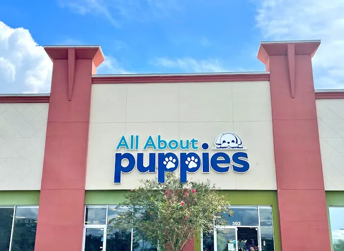 All About Puppies Picture 3