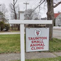 Taunton Small Animal Clinic ico