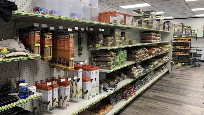 Family Reptiles Picture 3