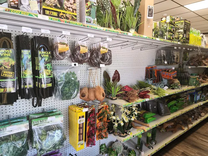 Family Reptiles Picture 2