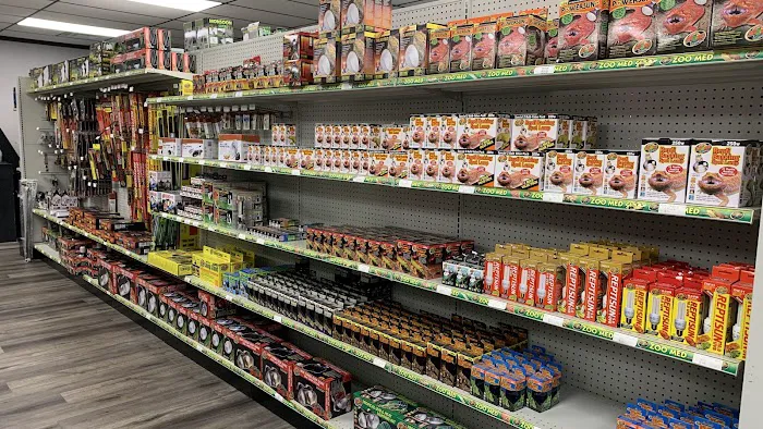 Family Reptiles Picture 1