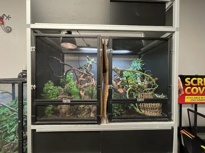 Family Reptiles Picture 5