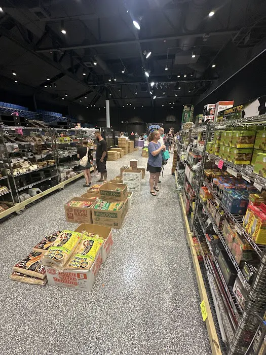 Family Reptiles Picture 9