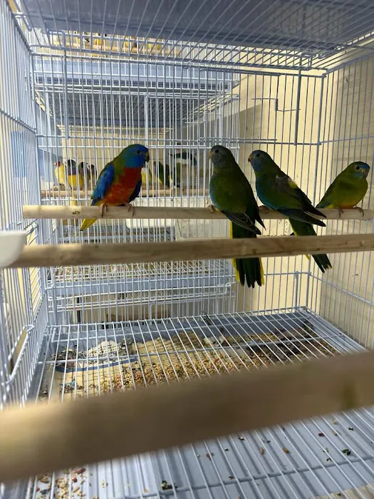 Gomez Pet Shop Picture 3