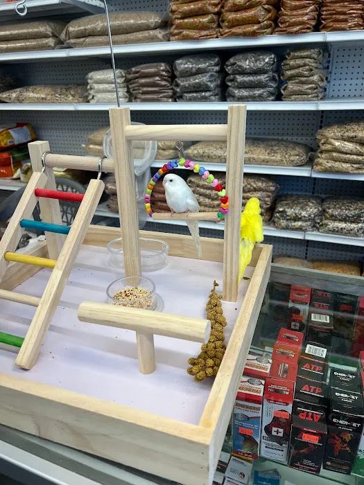 Gomez Pet Shop Picture 7