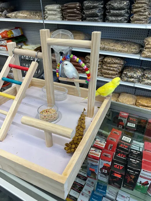 Gomez Pet Shop Picture 10