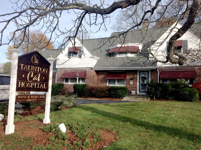 Taunton Cat Hospital Picture 1