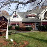 Taunton Cat Hospital ico