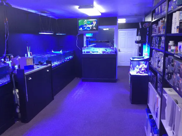 Coral Bargain Warehouse Picture 1