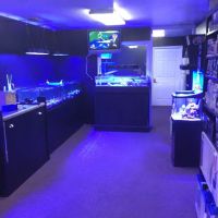 Coral Bargain Warehouse ico