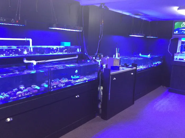 Coral Bargain Warehouse Picture 7