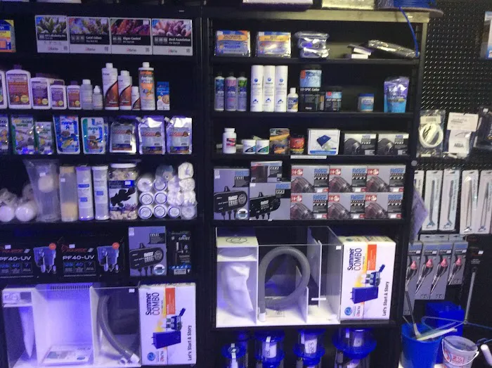 Coral Bargain Warehouse Picture 4