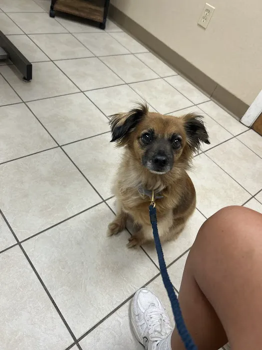 Taunton Animal Hospital Picture 6