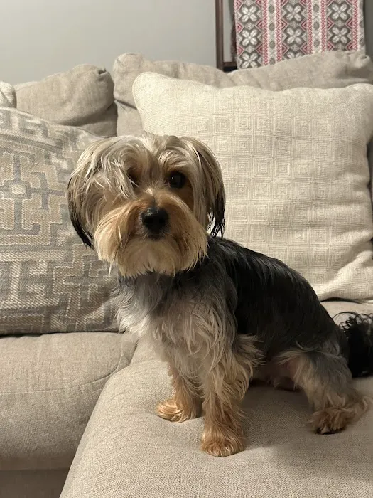 Taunton Animal Hospital Picture 7