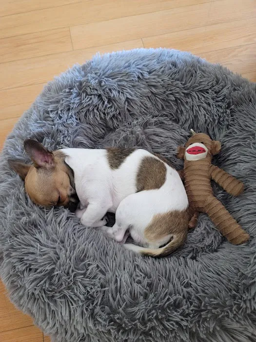 Taunton Animal Hospital Picture 8