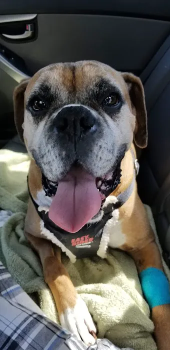 Taunton Animal Hospital Picture 5