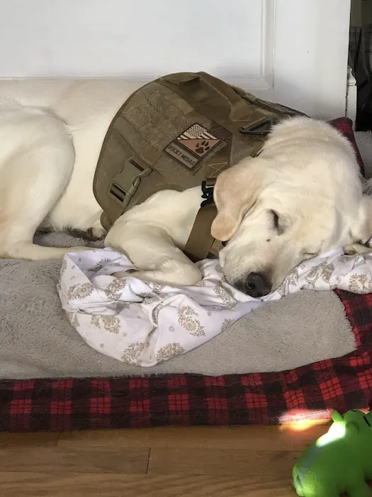 Taunton Animal Hospital Picture 3