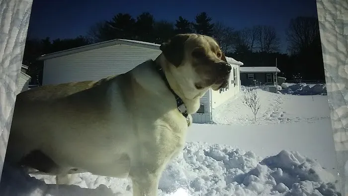 Taunton Animal Hospital Picture 10