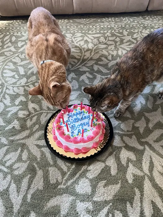 Norton Animal Hospital Picture 5