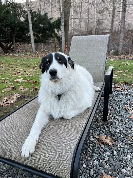 Norton Animal Hospital Picture 4