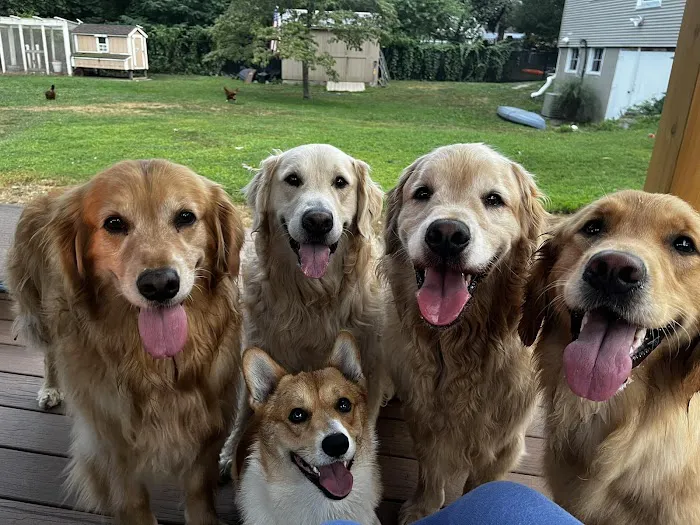 Norton Animal Hospital Picture 6