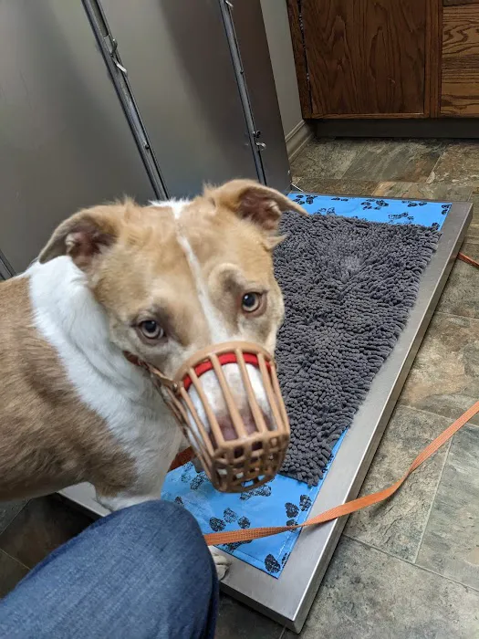 Norton Animal Hospital Picture 8