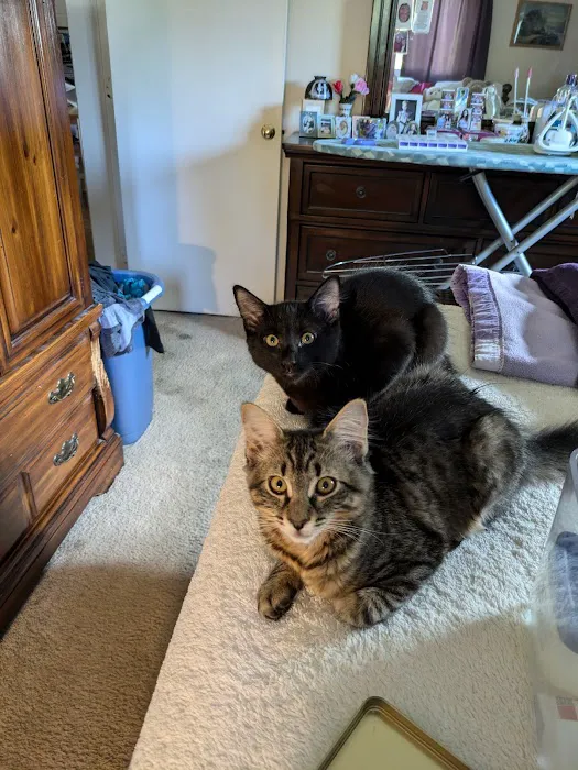 Norton Animal Hospital Picture 2