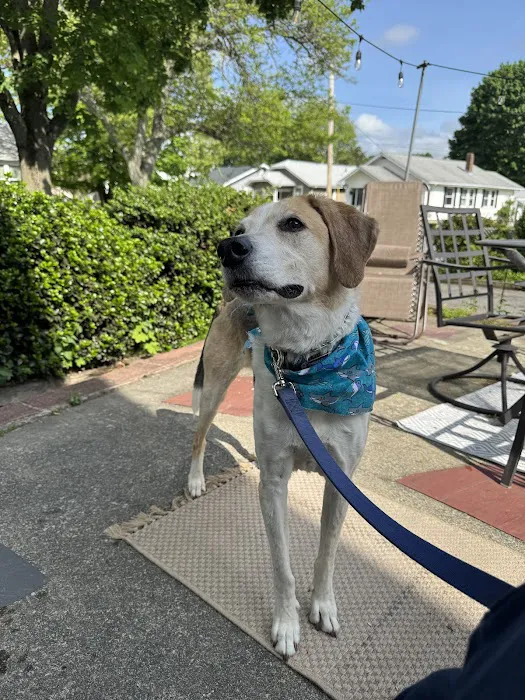 Norton Animal Hospital Picture 1