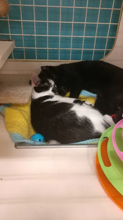 Petco Picture 7