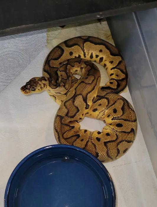 No Ways REPTIQUARIUM Picture 10