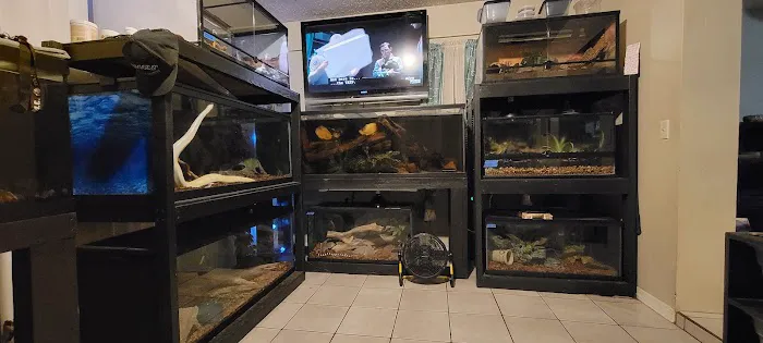 No Ways REPTIQUARIUM Picture 2