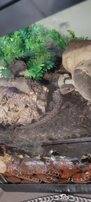 No Ways REPTIQUARIUM Picture 5