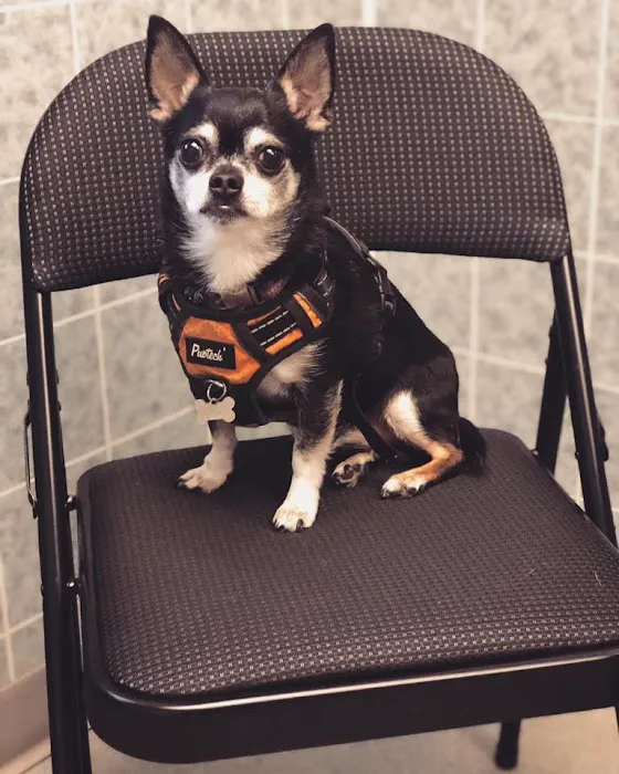 Fallon Animal Clinic Inc Picture 6