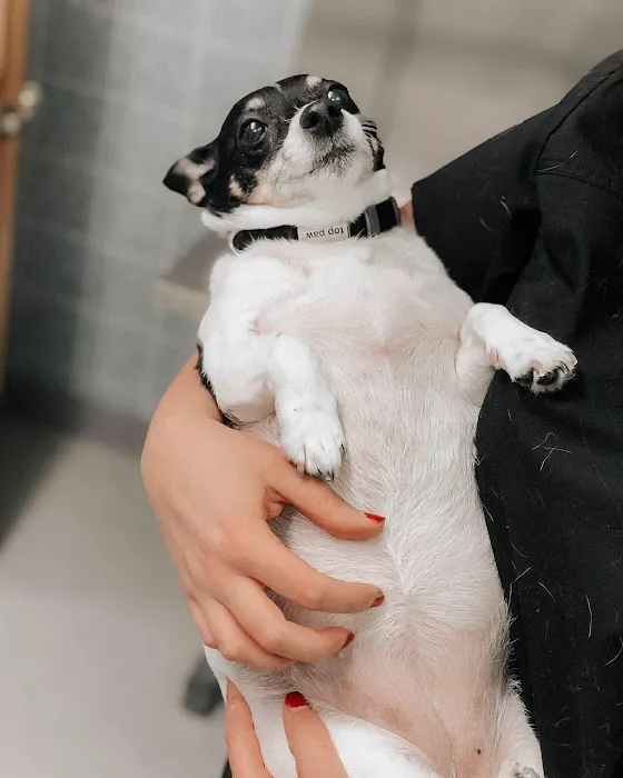 Fallon Animal Clinic Inc Picture 9