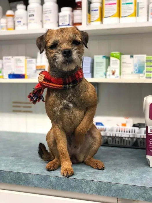 Fallon Animal Clinic Inc Picture 4